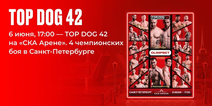 TOP DOG 42