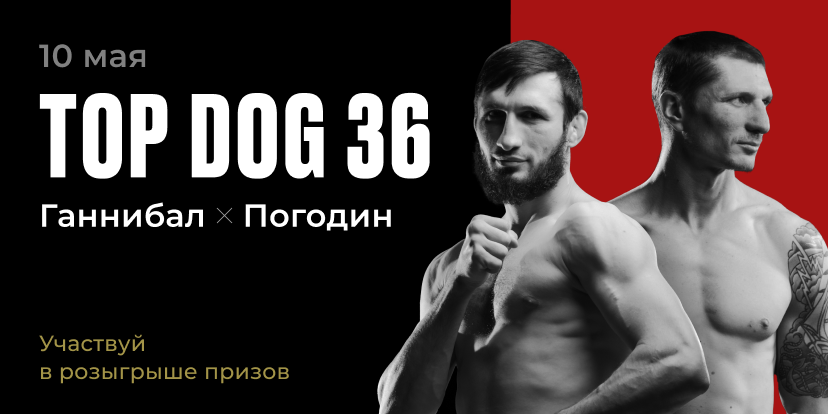 Top Dog 36