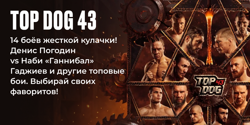 TOP DOG 43 x OLIMPBET