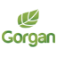 Горган