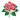 Ланкашир (жен)