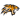 Фриск Аскер