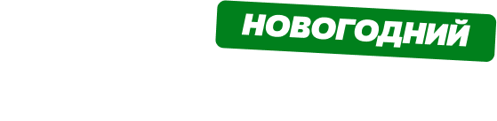 Новогодний Шайбожор